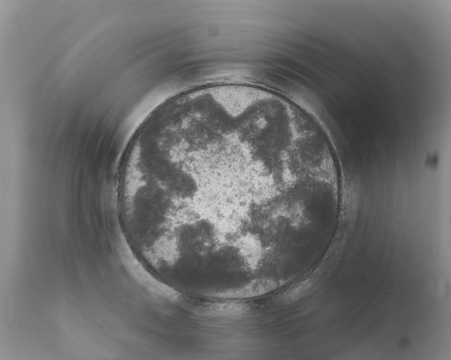 X0000111641090200908141401