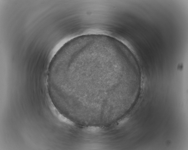 X0000111641094200908141401