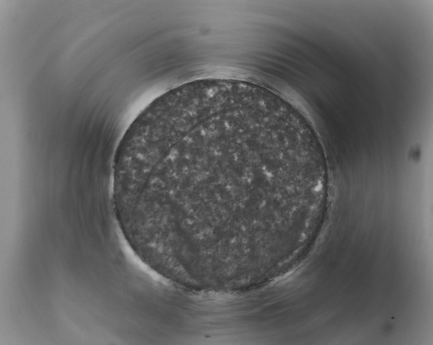 X0000111641095200908141401