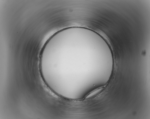 X0000111641096200908141401