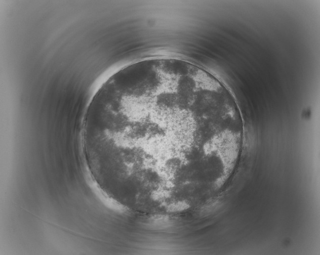 X0000111641098200908141401