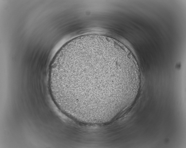 X0000111641099200908141401
