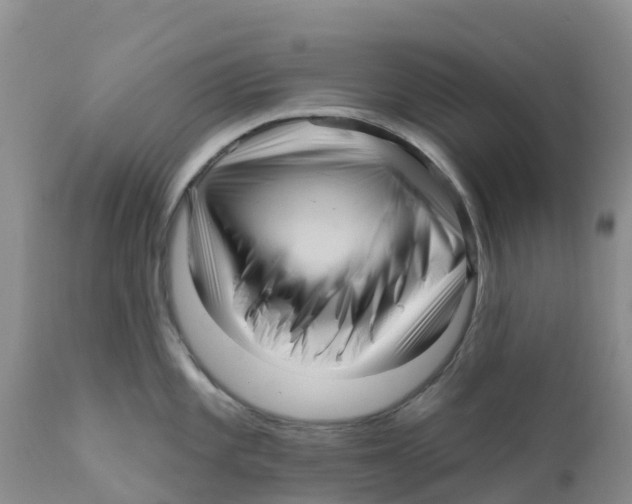 X0000111641101200908141401