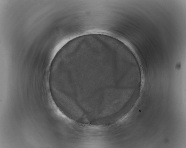 X0000111641102200908141401
