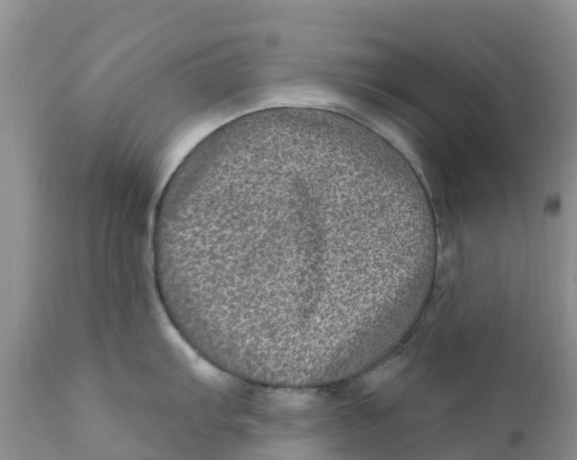 X0000111641103200908141401