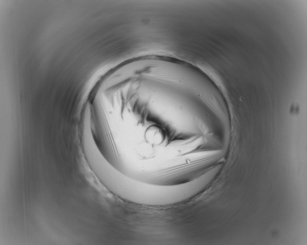 X0000111641104200908141401