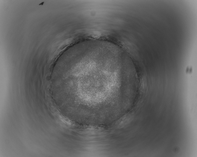X0000111641105200908141400