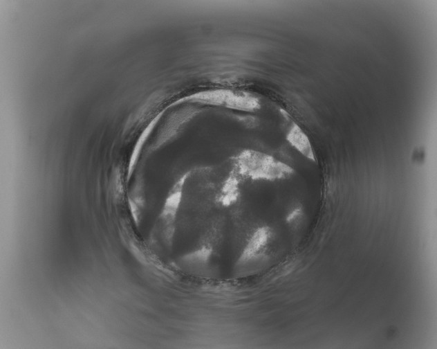X0000111641106200908141400