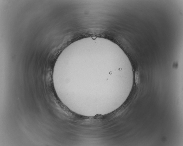 X0000111641107200908141400