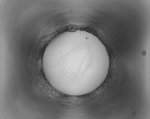 X0000111641109200908141400