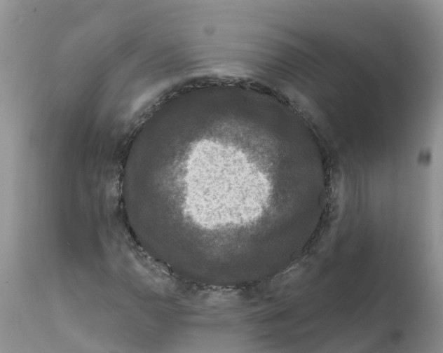 X0000111641110200908141400