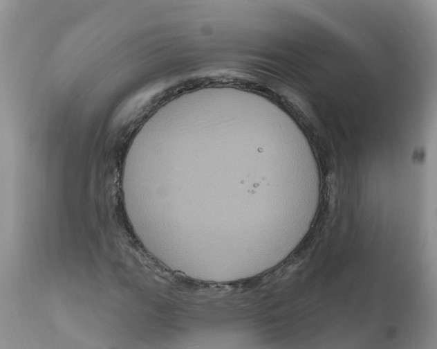 X0000111641111200908141400
