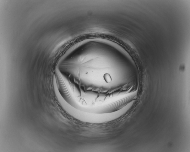 X0000111641112200908141400