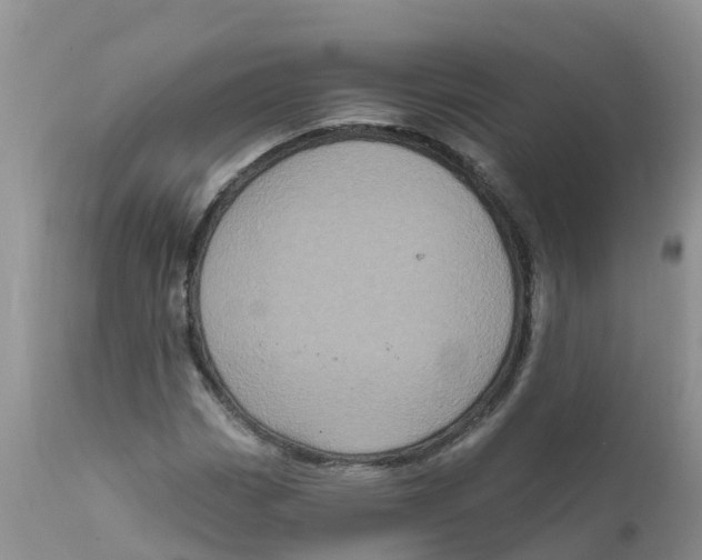 X0000111641113200908141400