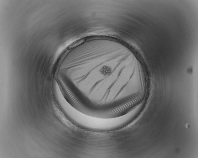 X0000111641114200908141400