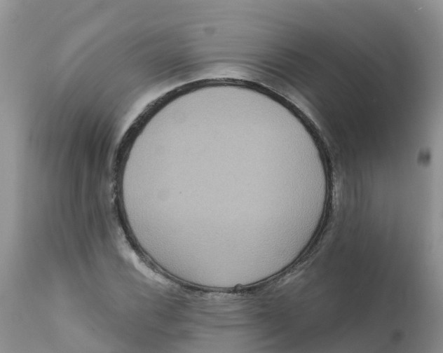 X0000111641116200908141400