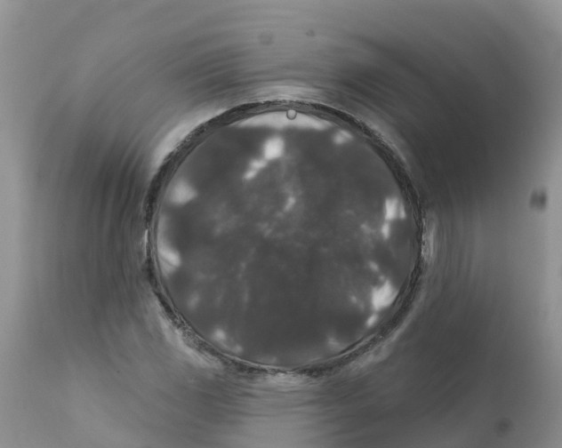 X0000111641117200908141400