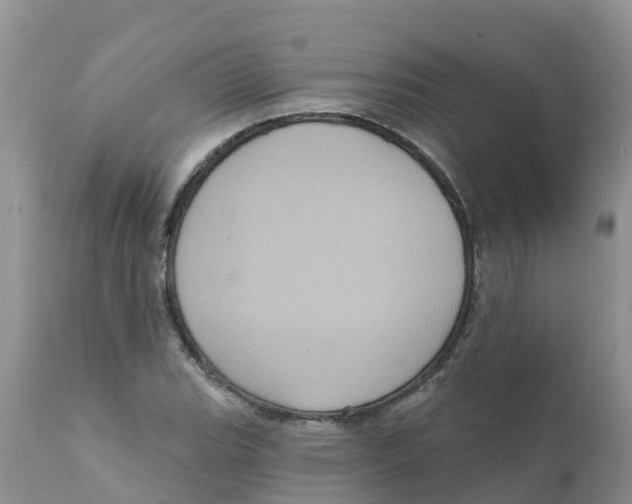 X0000111641119200908141400