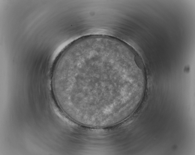 X0000111641120200908141400