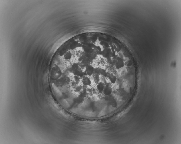X0000111641121200908141401