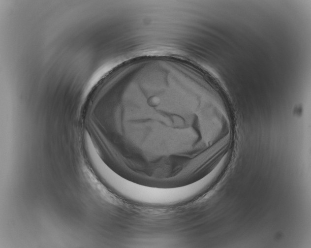 X0000111641122200908141401