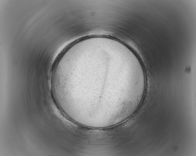 X0000111641124200908141401