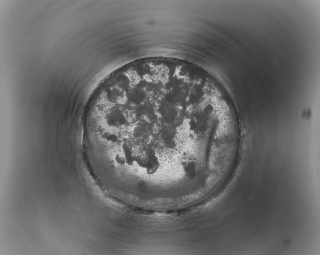 X0000111641125200908141401