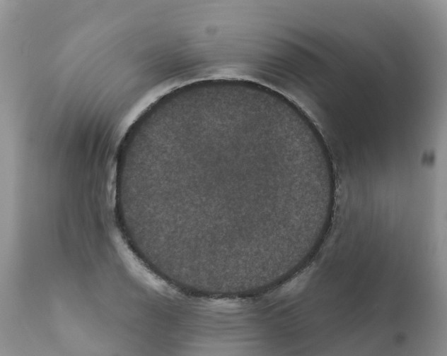 X0000111641126200908141401
