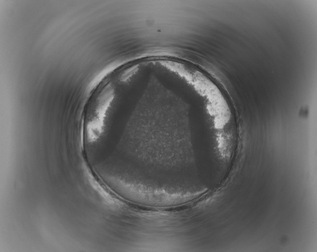 X0000111641127200908141401