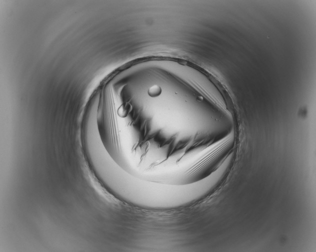 X0000111641128200908141401