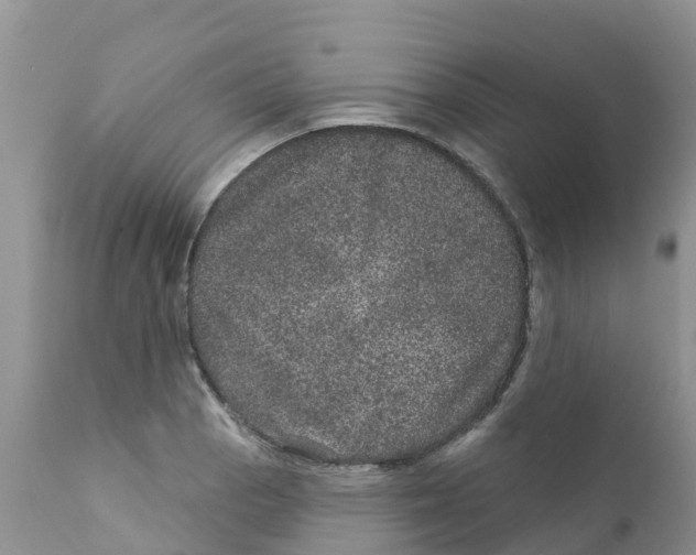 X0000111641129200908141401