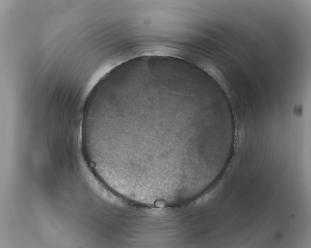 X0000111641130200908141401