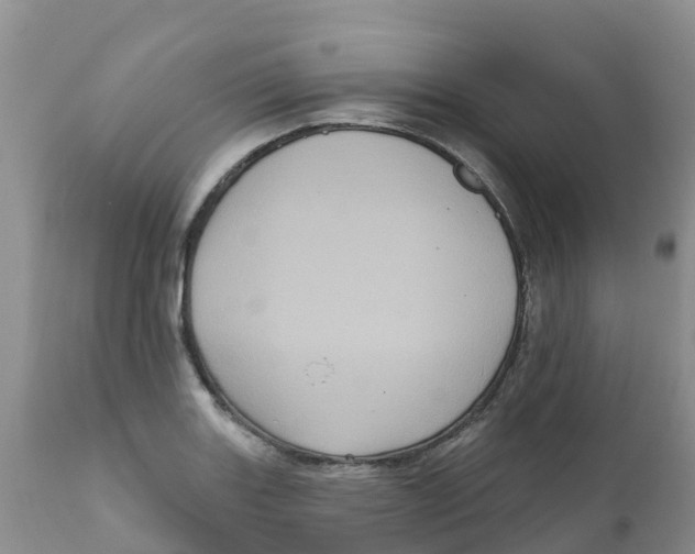 X0000111641131200908141401