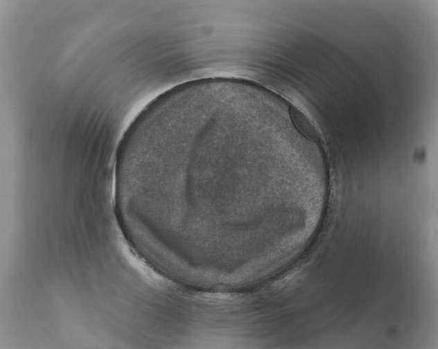 X0000111641132200908141401