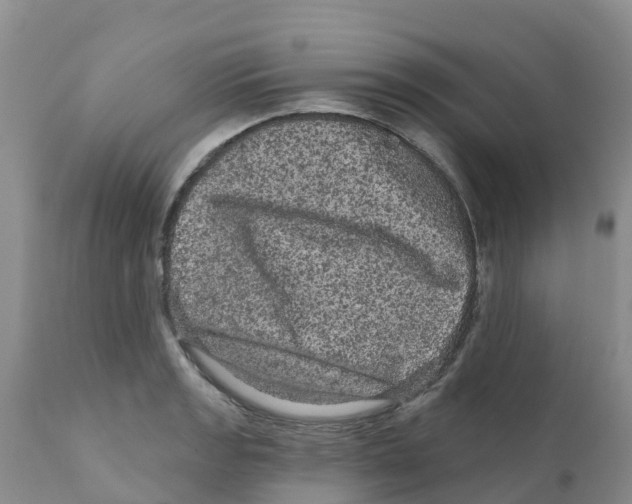 X0000111641133200908141401