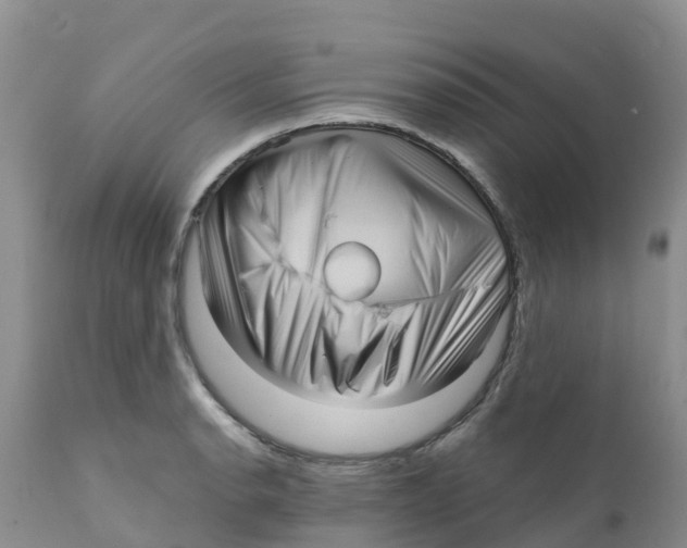 X0000111641134200908141401