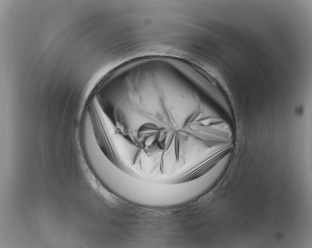 X0000111641136200908141401