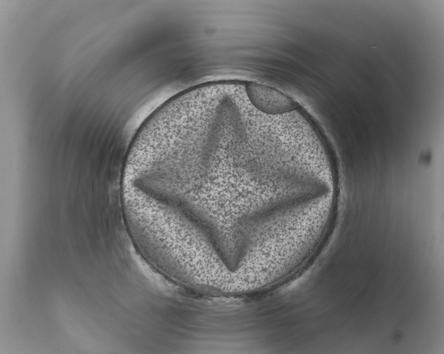 X0000111641137200908141401