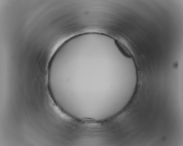 X0000111641140200908141401