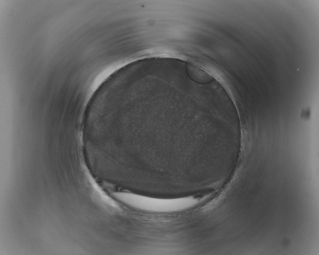 X0000111641141200908141401