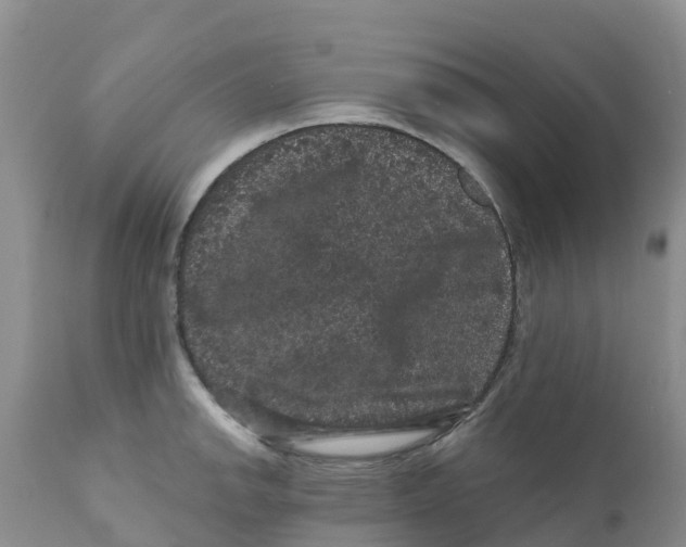 X0000111641142200908141401