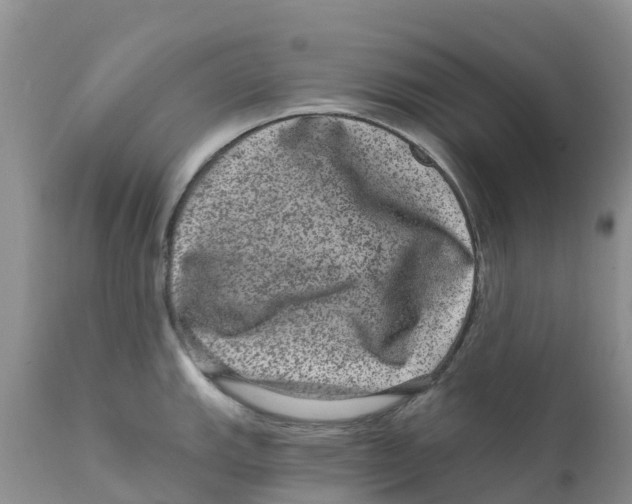 X0000111641143200908141401