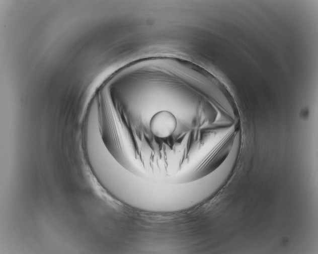 X0000111641144200908141401
