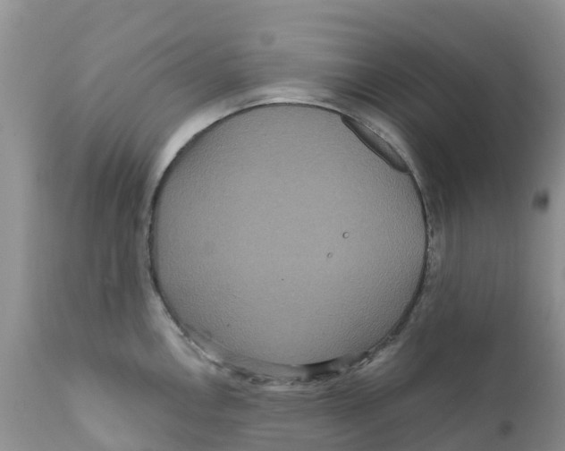 X0000111641146200908141401