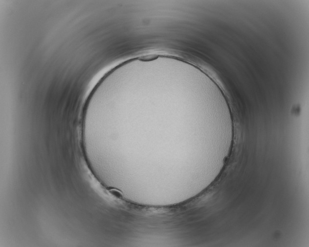 X0000111641148200908141401