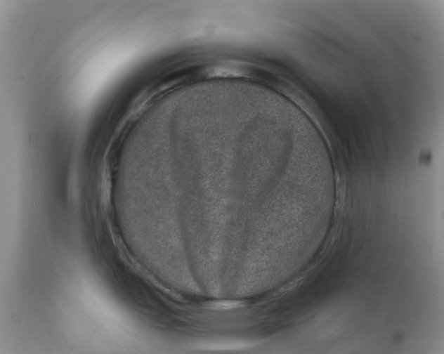 X0000111641151200908141401