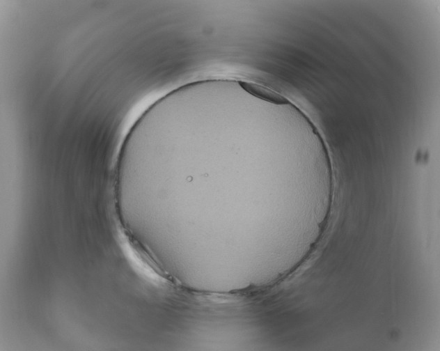 X0000111641152200908141401