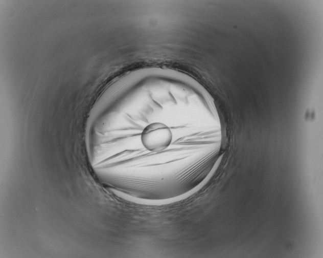 X0000111641153200908141400