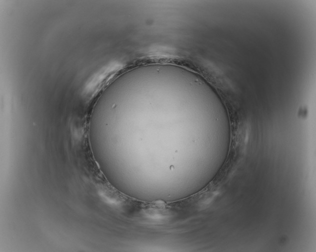X0000111641157200908141400