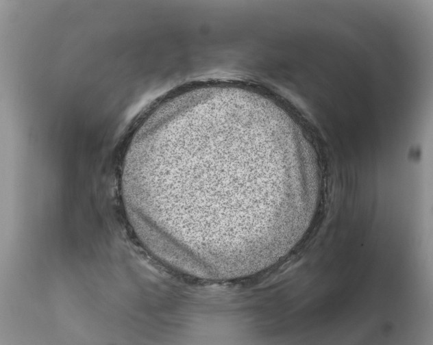 X0000111641160200908141400